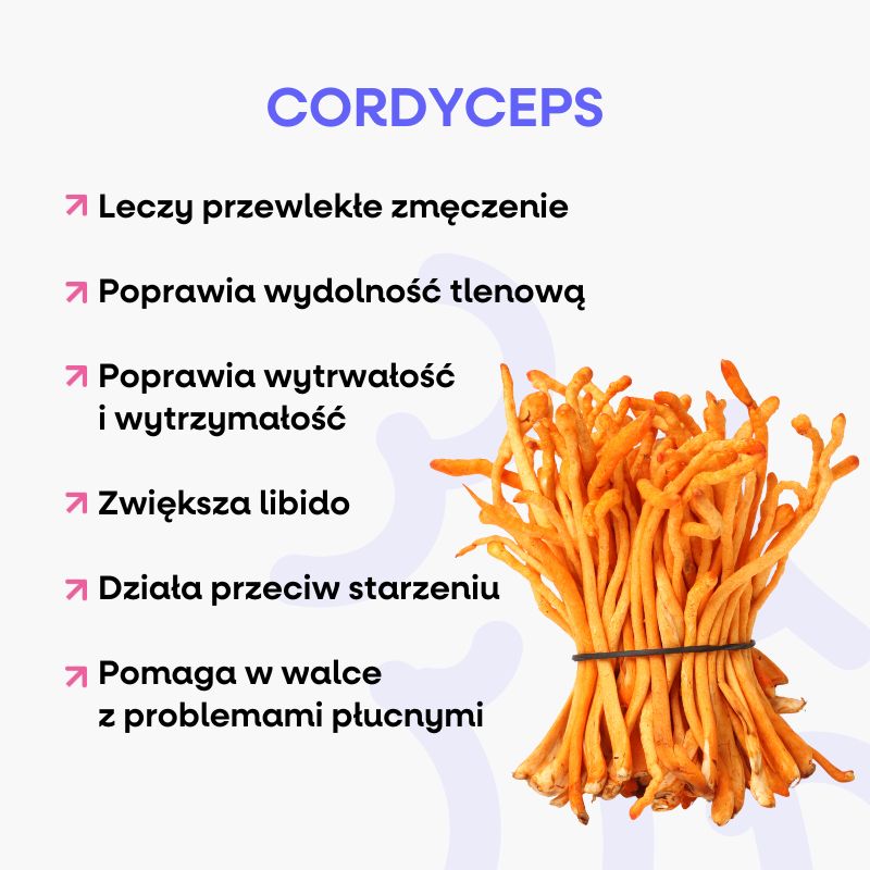 Mediciální houby (1)